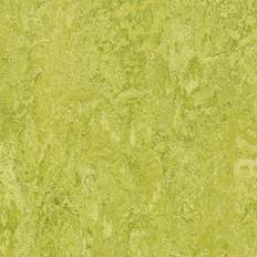 Gråa Linoleumgolv Forbo Linoleumgolv Marmoleum Real 2.5mm 3224 Chartreuse 200cm