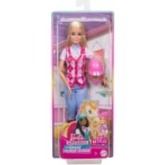 Barbie horse Barbie Mysteries The Great Horse Chase Doll