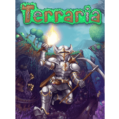 Terraria Steam Account