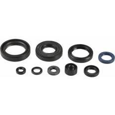 Athena P400250400137 Engine Oil Seal
