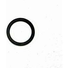 Ring O-ring WSM008419