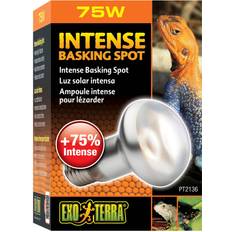 Exo Terra Intense Basking Spot 75W