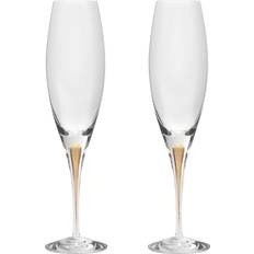 Orrefors Intermezzo Flûte à Champagne 26cl 2pcs