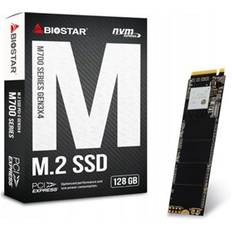 Biostar M700 M.2 NVMe PCI-E SSD Disk Drive