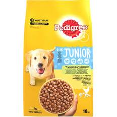 Pedigree Junior Hundefutter 2