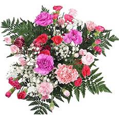 Homeland Florists Next Day Prime