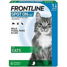 Frontline Cats Pets Frontline For Cats Spot On For Cats