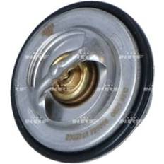 thermostat 725096