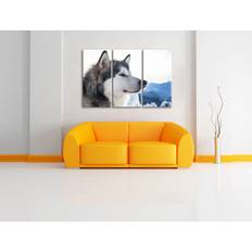 Quadratisch Bilder Pixxprint husky schnee 3-teiler wanddeko Bild