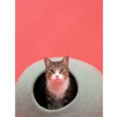 Myfelt Kattehule Connox