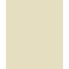 Fiona Home Paper 100906