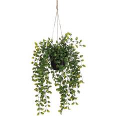 Krukker, Planter & Dyrkning Mica Decorations Hængeplante ficus Krukke