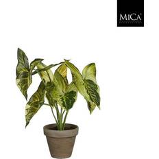 Plantas Mica Decorations Planta Artificial Syngonium Verde 28 cm