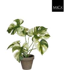 Mica Decorations Monstera palme høj ∅30cm