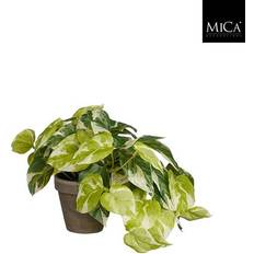 Mica Decorations Pothos guldranke 20 høj ∅20cm