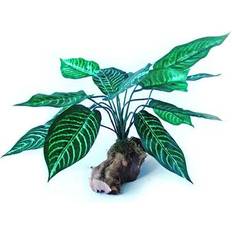 MAC's Large Assorted Reptile Habitat Plant