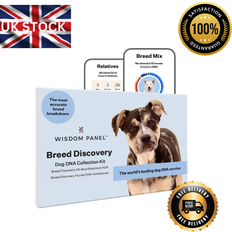 Wisdom Panel breed discovery dog dna test kit most