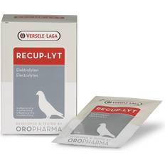 Versele Laga Versele laga oropharma recup-lyt electrolyes 12x20g 240g