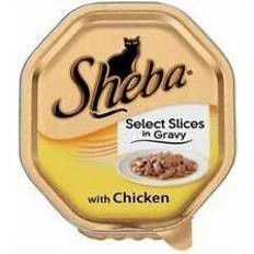 Sheba Wet Food Pets Sheba select slices cat food with chicken gravy 85g pack 4