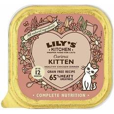 Lily's kitchen Cats Pets Lily's kitchen grain free chicken