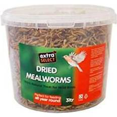 Extra Select mealworms wild bird feed treat, 3