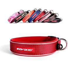 Ezydog Pets Ezydog Classic Neo Collar Collar