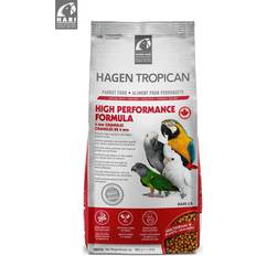 Hagen Tropican para LOROS 820 grs