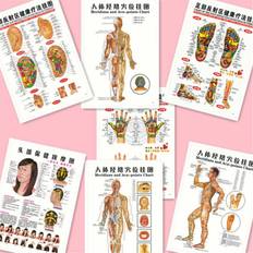 Best Acupressure Mats 3B Scientific 7pcs/set English Acupuncture Meridian Acupressure Points Posters Chart Wall