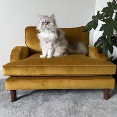 Pet Bed Mustard