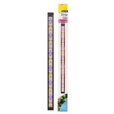AquaOne Aqua one stripglo tropical aquarium fish tank