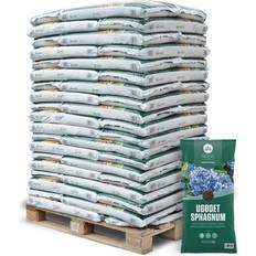 Krukker, Planter & Dyrkning Holmebo Ugødet sphagnum 60 poser Plantejord