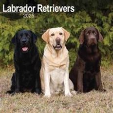 Brown Calendars Avonside Labrador Retrievers Mixed Calendar 2025 Square Dog