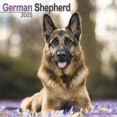 Avonside German Shepherd Calendar 2025 Square Dog Breed