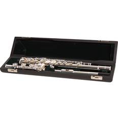 Best Transverse Flutes Pearl Flutes 525 Series Intermediate Flute Model 525RBE1RB B Foot, Offset G with Split E