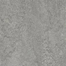 Forbo Marmoleum Real 3146 9289 Linoleum Flooring