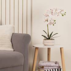 Scottish Everlastings White Speckled Orchid Artificial Plant