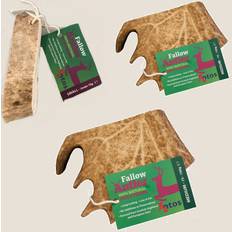 Antos fallow small dog deer stag