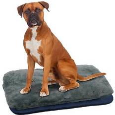 Geezy portable travel foldable pet bed indoor water