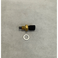 Fae Sensor, insugslufttemperatur 33230