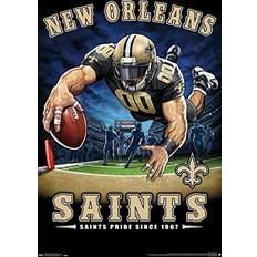 Trends International NFL New Orleans Saints-End Zone 17 Poster