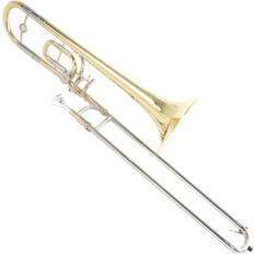 TT220 Bb/C Trombone for Children