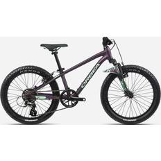 Orbea MX 20 XC Mint