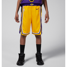 Nike Los Angeles Lakers 2023/24 Icon Edition