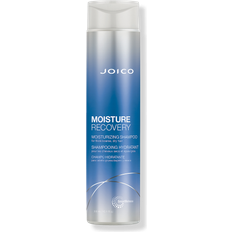 Moisture Recovery Shampoo