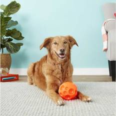 Omega Paw Tricky Treat Ball Dog