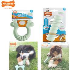 Nylabone Puppy Tactile Ring Hundtuggleksak Grön Jordnötssmör Kyckling S