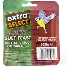 Extra berry block 1 320g
