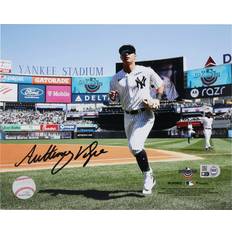 Baseball Sports Fan Products Fanatics Authentic Anthony Volpe Autographed 8 x 10 Opening Day Photograph
