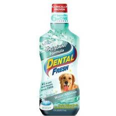 Dental fresh dog Synergy Labs Dental Fresh