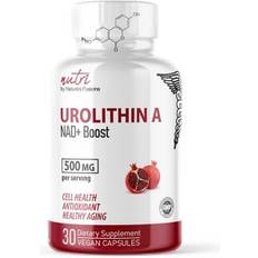 Urolithin A NAD+ Boost
